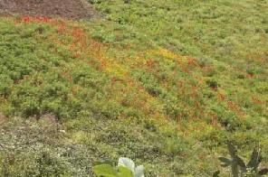 Xtrallusion photo gallery of Italy. Photos, pictures, images and photographs of the Italian Rivieras, the Italian Lakes, the Italian Alps, the Cinque Terre, the Amalfi coast and some of the most beautiful corners of Italy. Plus photos of Italian cities such as Pisa, Milan, Genoa and Rome.